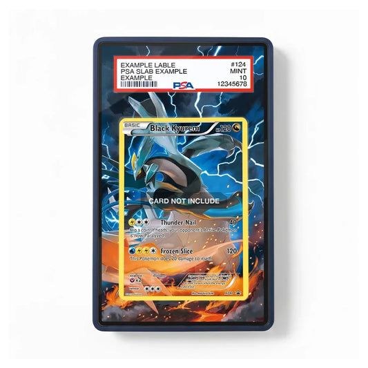 Front view of the Black Kyurem XY80 Promo XY Series Extended Art Display Case featuring powerful Black Kyurem artwork surrounded by an immersive extended art background.