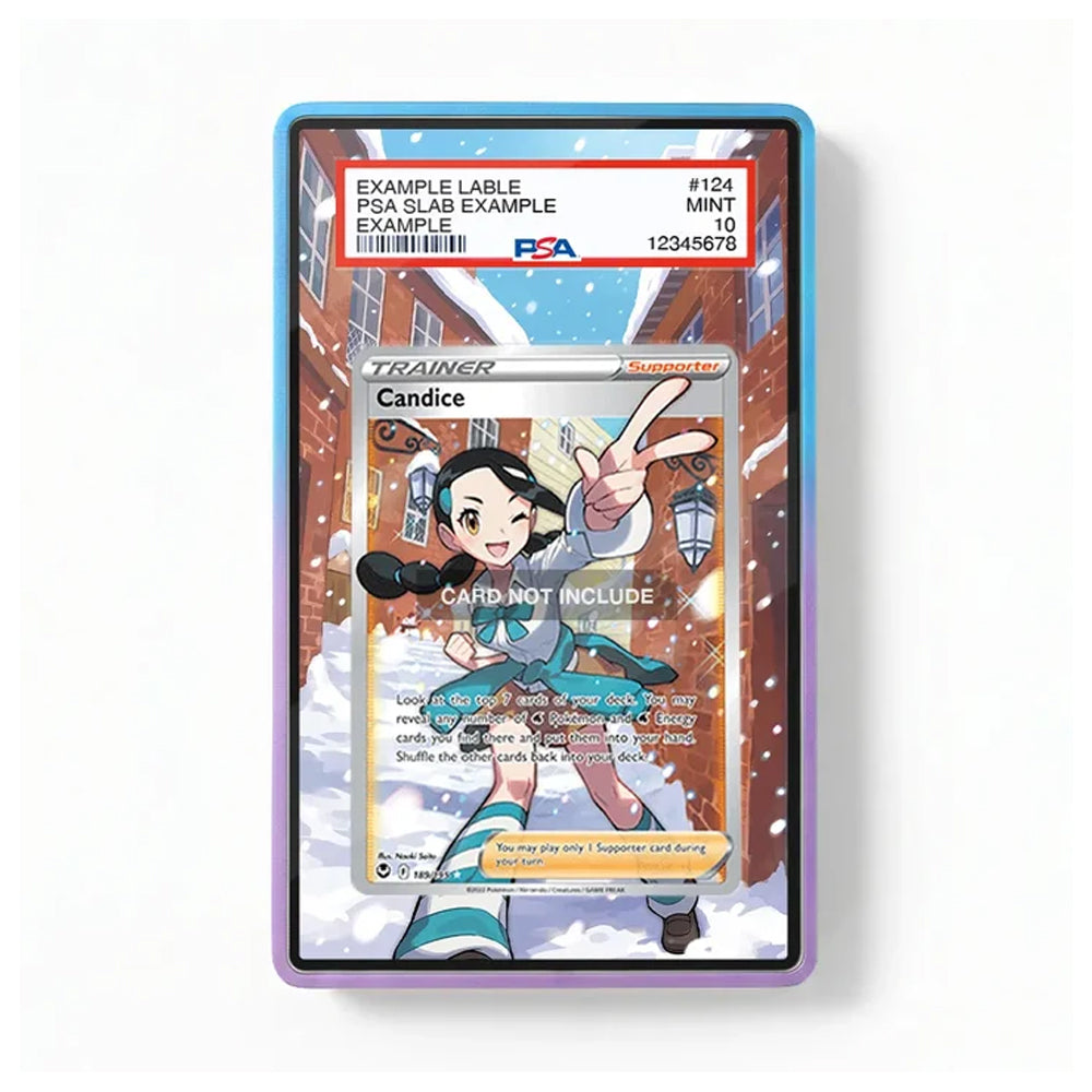 Candice 189/195 Silver Tempest extended art display case by TCGVault for Pokémon TCG collectors