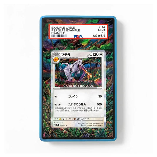 Charizard 142/165 SWSH Black Star Promo extended art display case by TCGVault for Pokémon TCG collectors