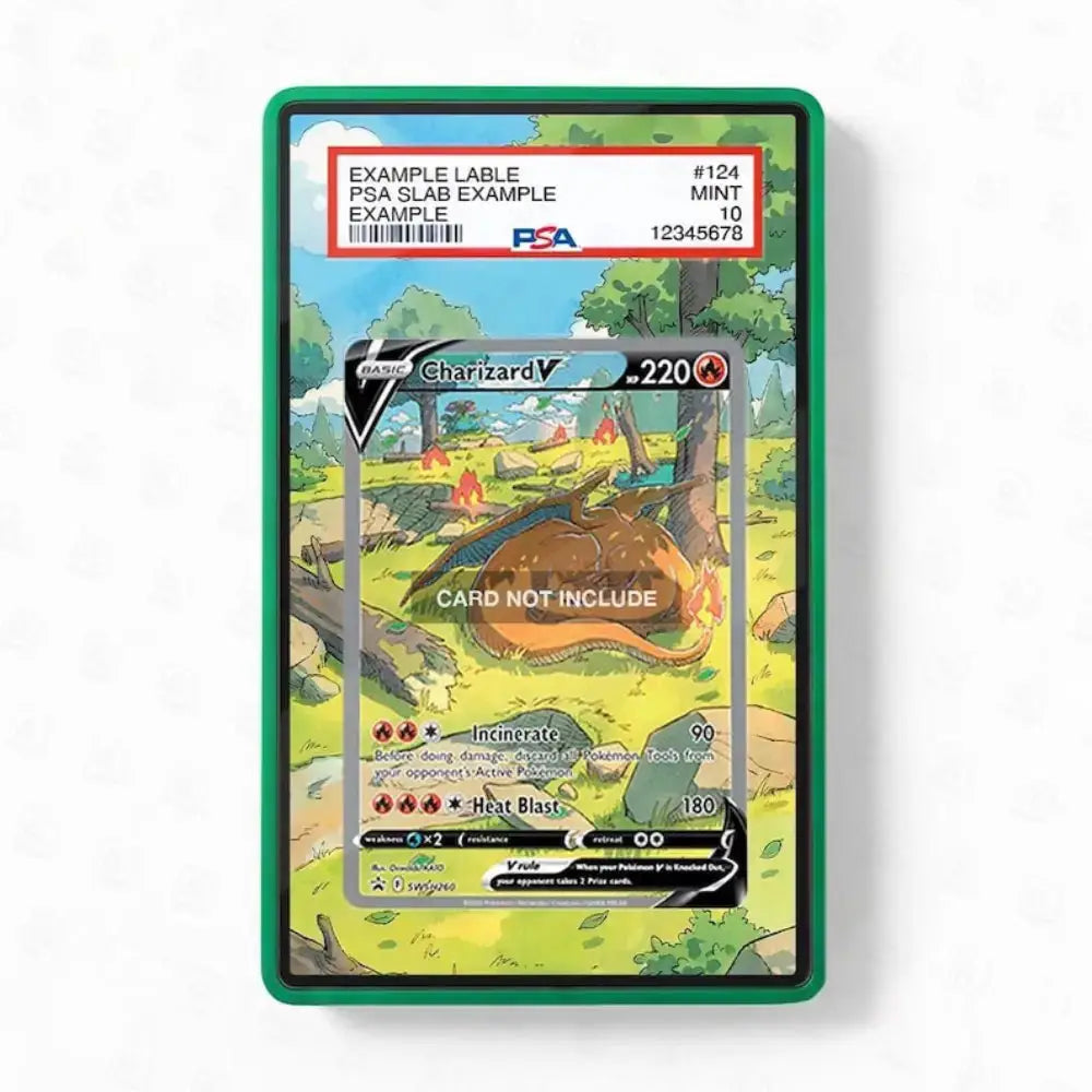 A PSA graded protective case containing a Charizard V trading card, with a green border and a PSA slab label at the top. The slab shows a red, white, and blue grading label with the text 'EXAMPLE LABLE PSA SLAB EXAMPLE' and a PSA logo.