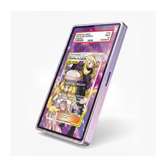 Angled view of the Cynthia & Caitlin extended art display case showcasing its collectible presentation.
