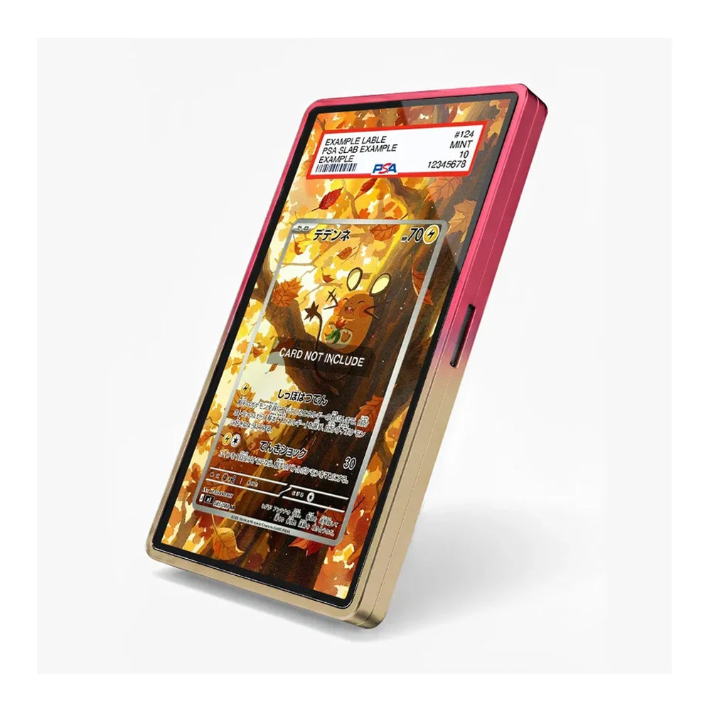 Angled view of the Dedenne extended art display case showcasing its colorful Pokémon-themed presentation.