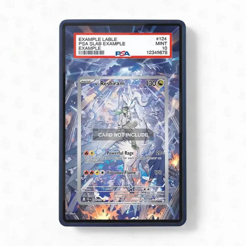 A PSA graded slab containing a sample Pokémon card, shown against a plain white background. The slab has a black border and a red PSA label at the top reading 'EXAMPLE LABLE PSA SLAB EXAMPLE' with a graded 'MINT 10' rating.